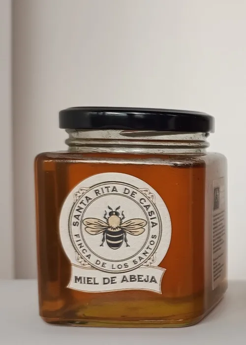 Frasco de miel de abeja Santa Rita de Casia, 390 g