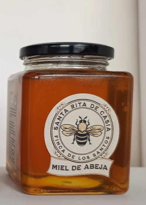 Frasco de miel de abeja Santa Rita de Casia, 710 g